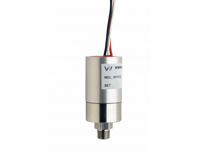 W117LV Ultra Pure Long Body Vacuum Switch