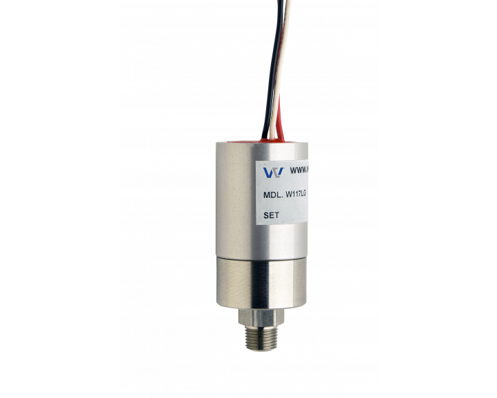 W117LV Ultra Pure Long Body Vacuum Switch