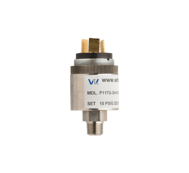 P117G - SS Body Pressure Switch