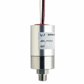 P117LV NEMA IV Stainless Steel Vacuum Switch