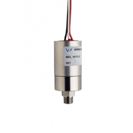W117LV Ultra Pure Long Body NEMA 4 Vacuum Switch
