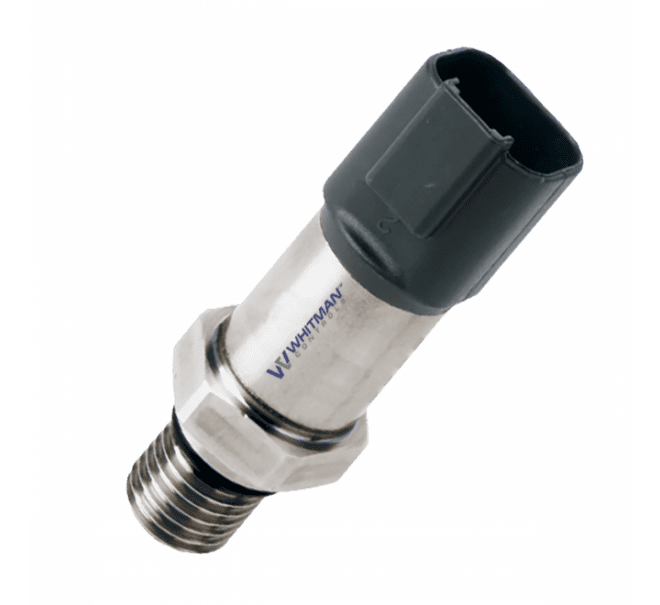 P806 Pressure Transmitter 2