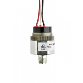 P119G Pressure Switch P119G-25H-C12L-DIS